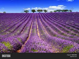 South France Holiday